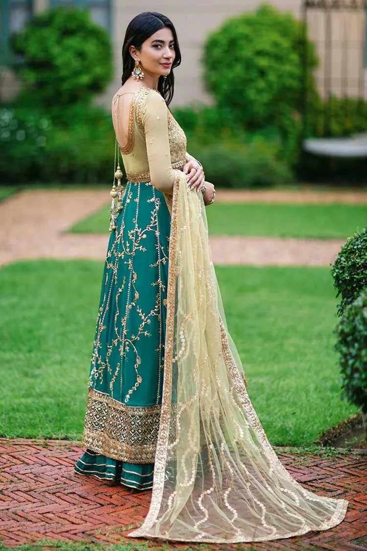 02 Chan Dani Aafreen Luxury Chiffon Collection