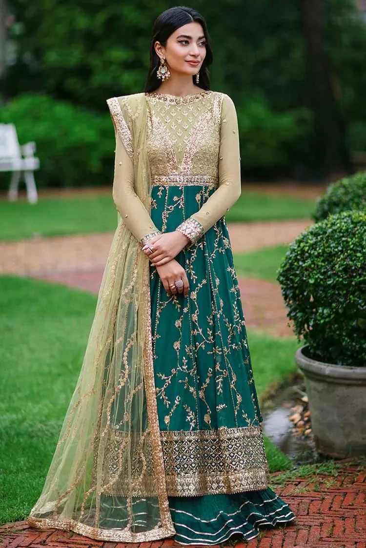 02 Chan Dani Aafreen Luxury Chiffon Collection