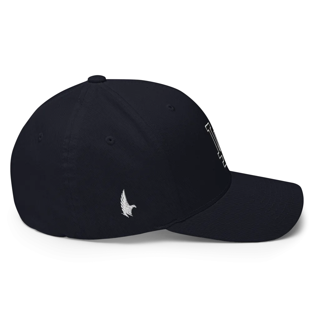 LA Fitted Hat