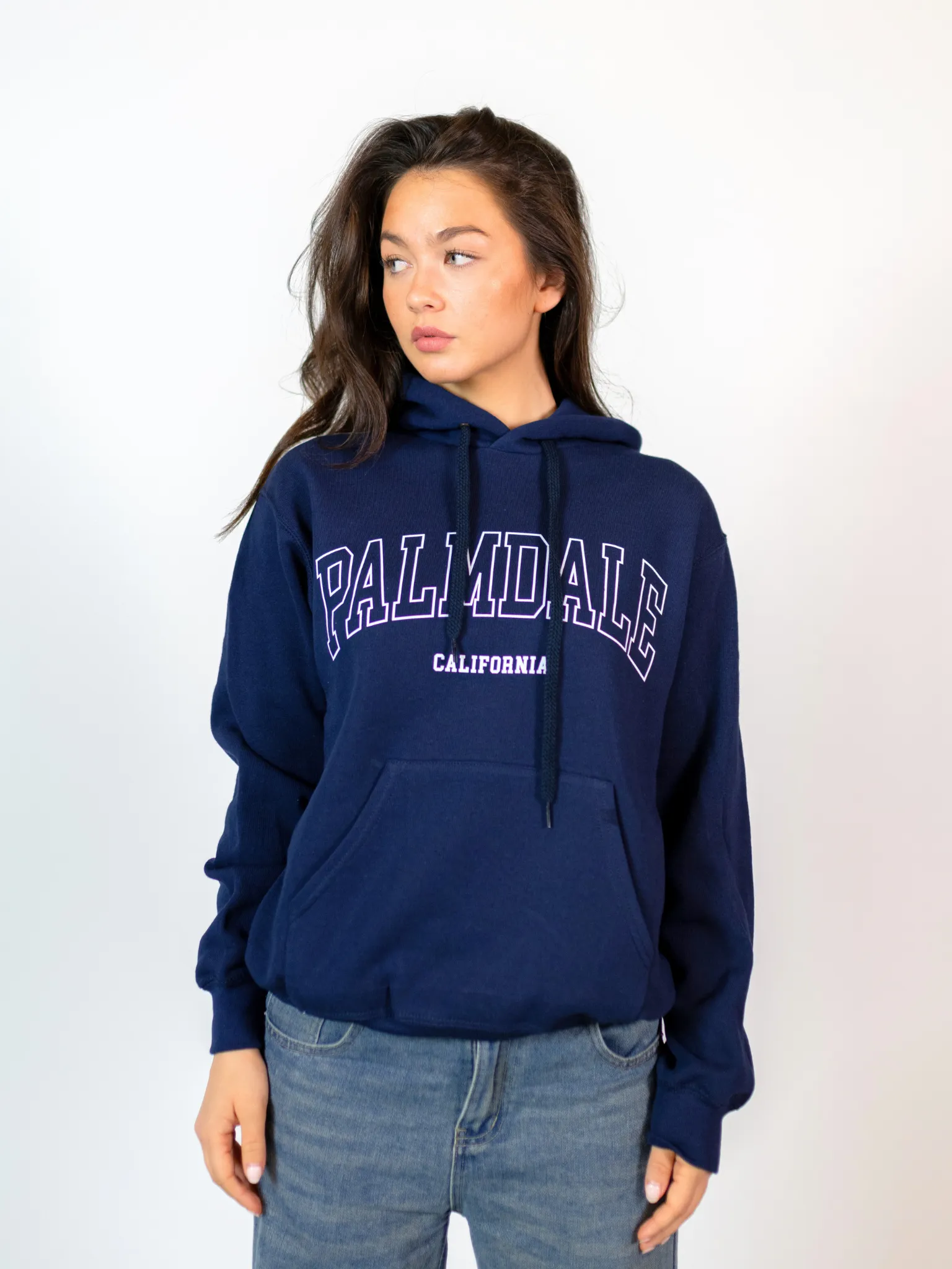 PALMDALE HOODIE  - NAVY