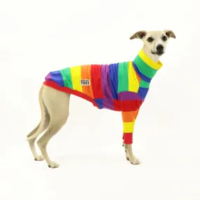 Tom 2.0 Whippet Long Sleeve Tweater