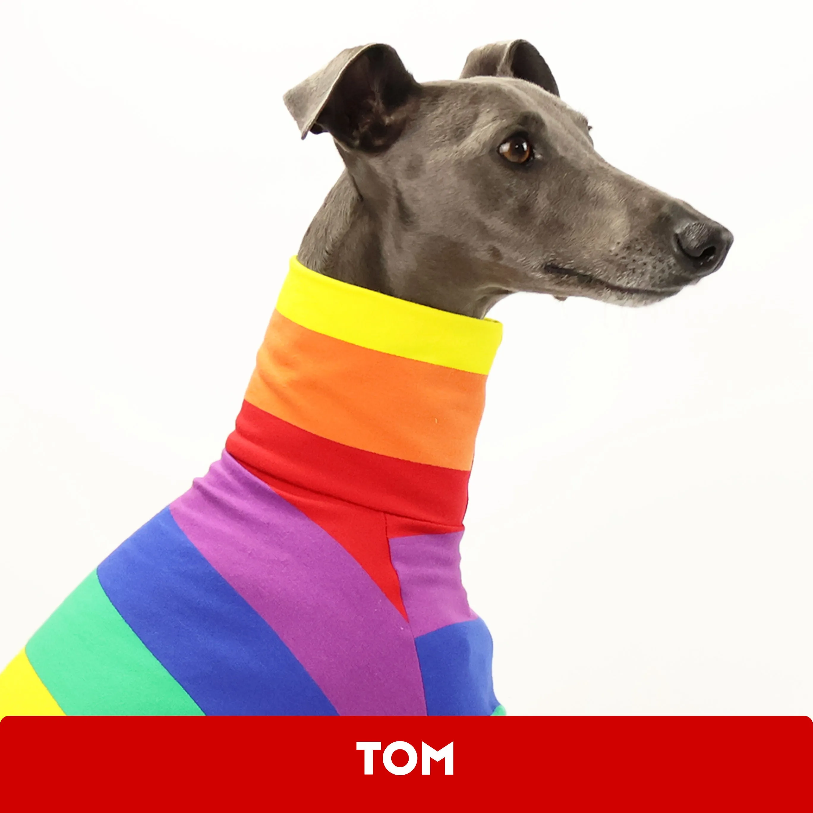 Tom 2.0 Whippet Long Sleeve Tweater